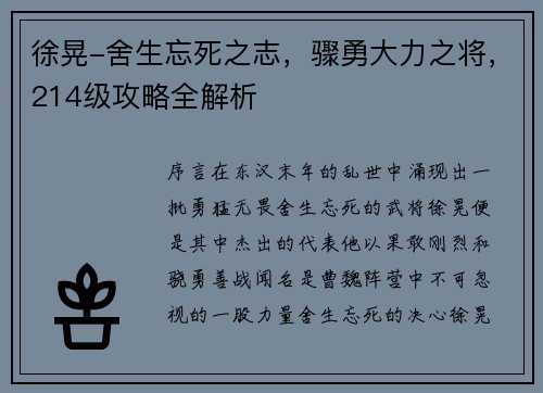 徐晃-舍生忘死之志，骤勇大力之将，214级攻略全解析